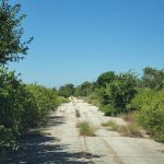 Route 66