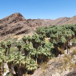Indian Valley
