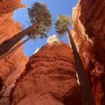 Bryce Canyon