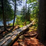 Acadia