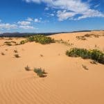 Coral Pink Sand Dunes
