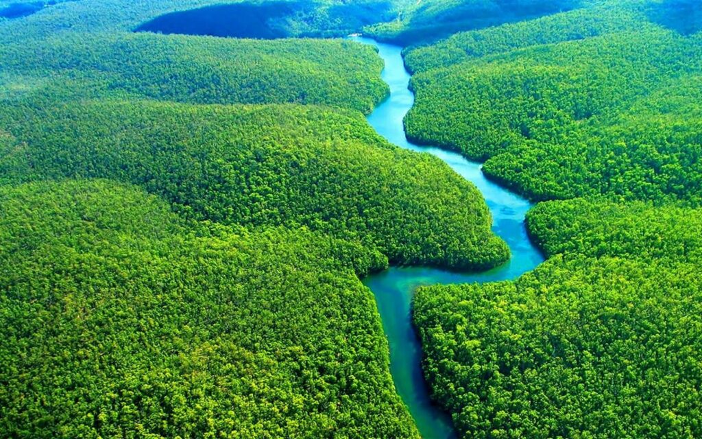 AMAZONAS