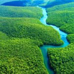 AMAZONAS