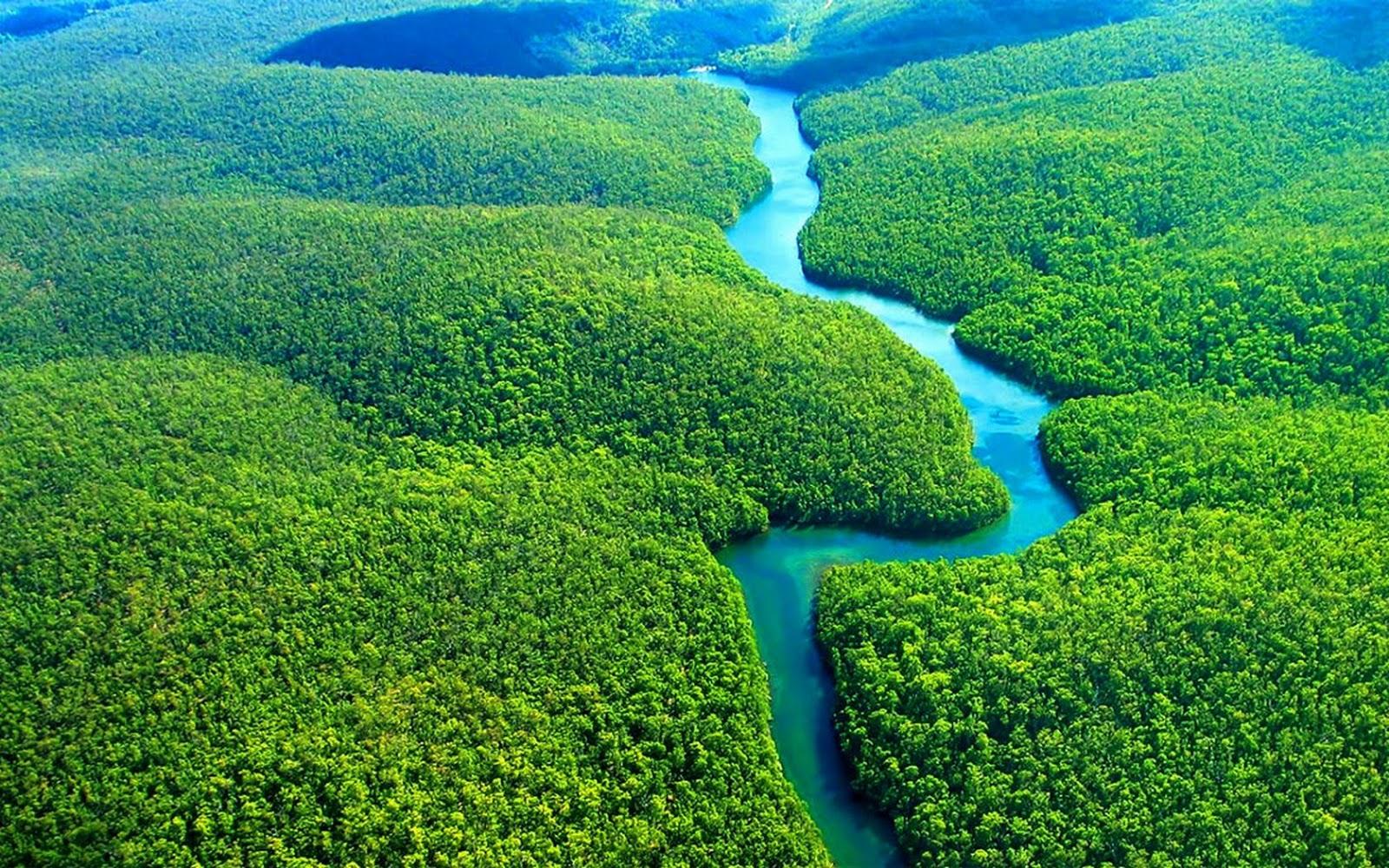 AMAZONAS